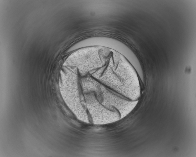 X0000111870217200909031823