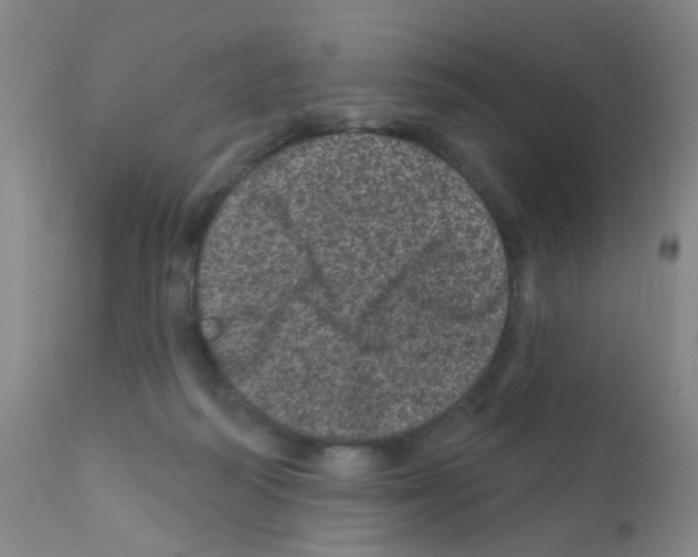 X0000111870218200909031823