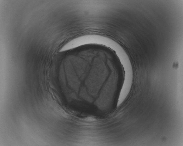 X0000111870219200909031823