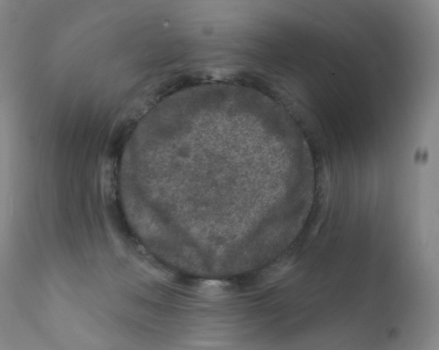 X0000111870222200909031823