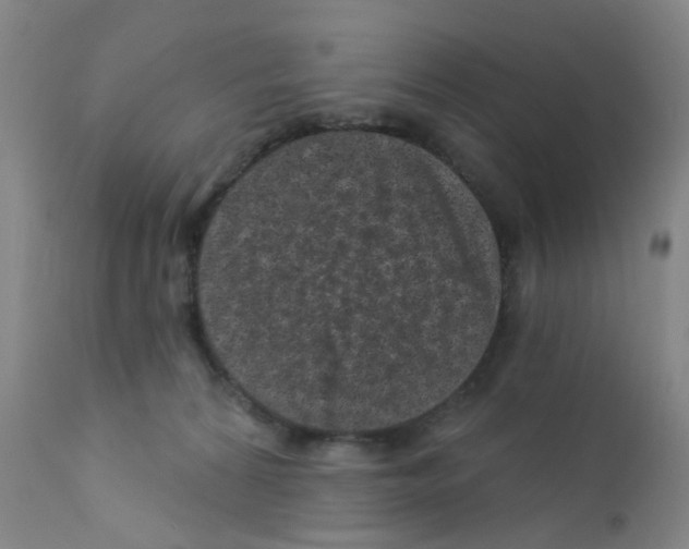 X0000111870224200909031823