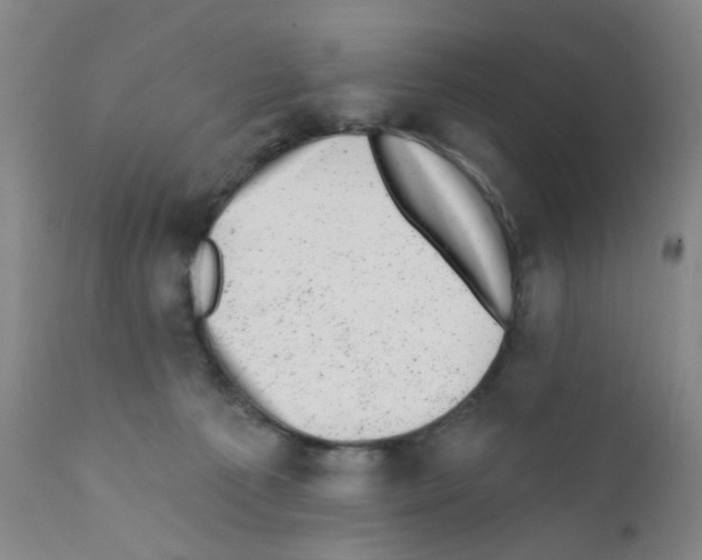 X0000111870225200909031823