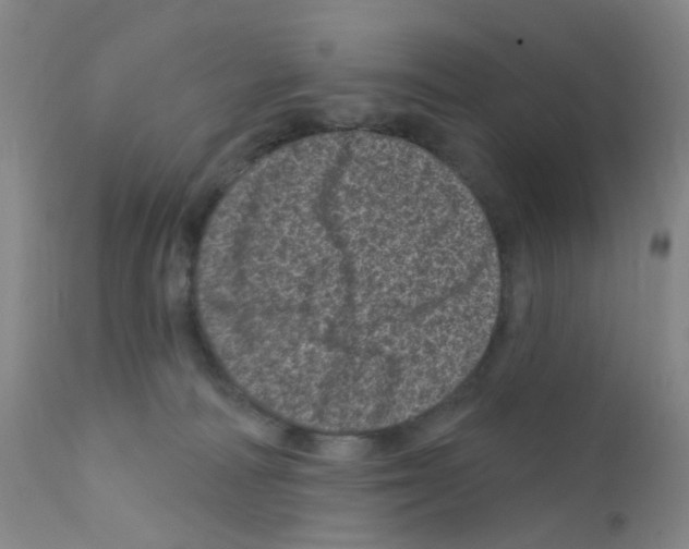 X0000111870226200909031823