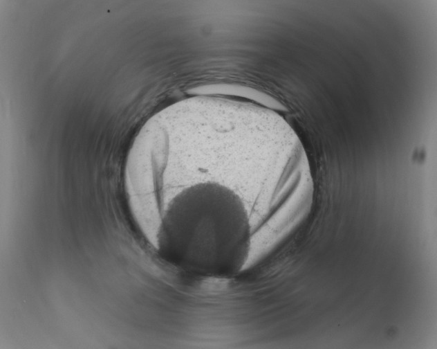 X0000111870227200909031823