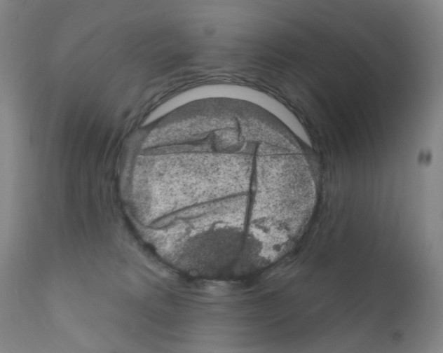 X0000111870229200909031823