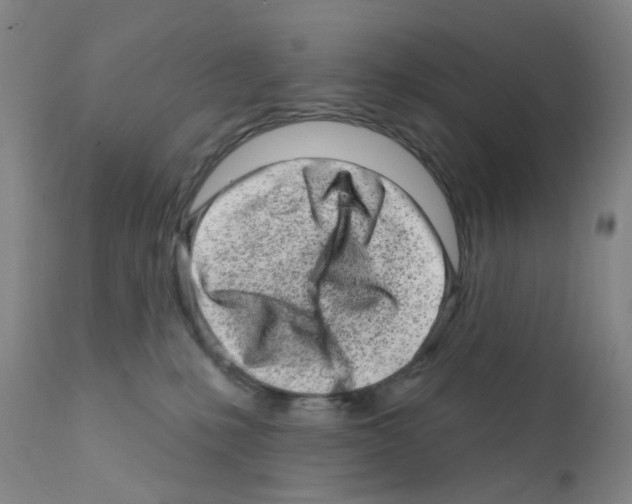 X0000111870231200909031823