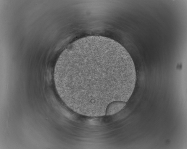 X0000111870232200909031823