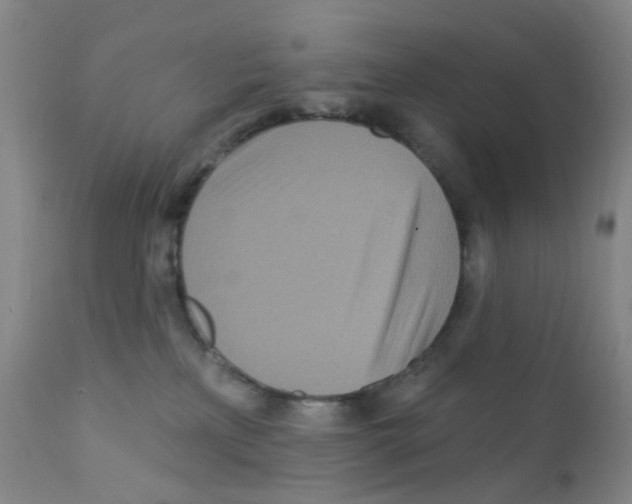 X0000111870233200909031823