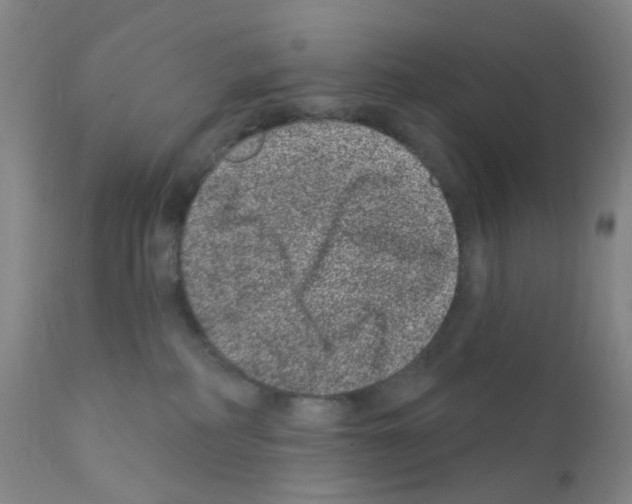 X0000111870234200909031823