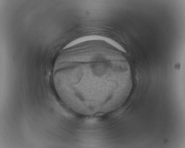 X0000111870235200909031823