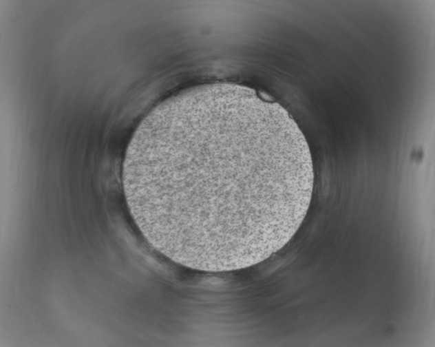 X0000111870236200909031823