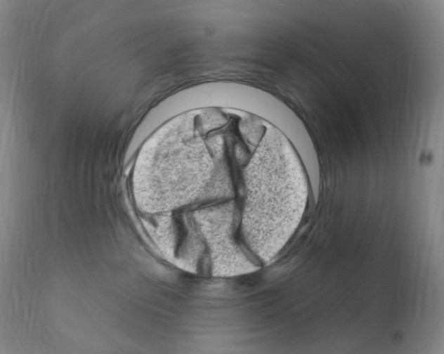 X0000111870237200909031823