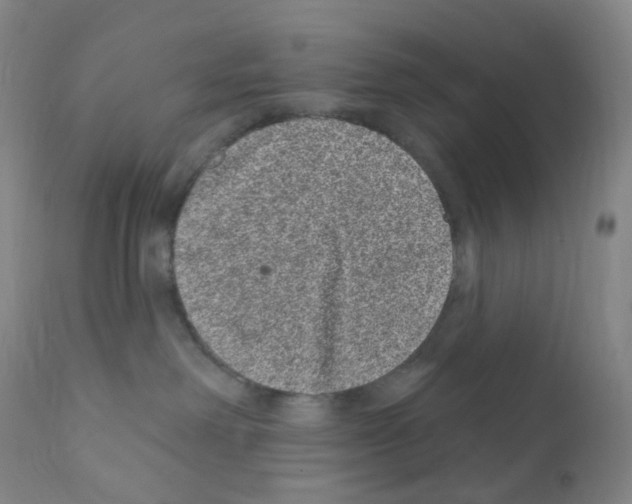 X0000111870238200909031823