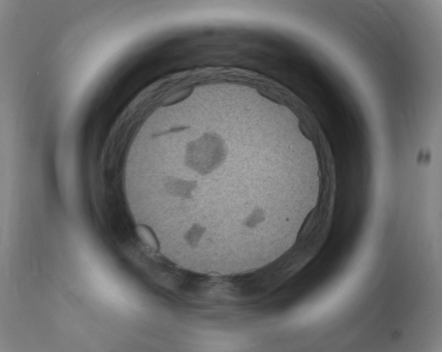 X0000111870239200909031823