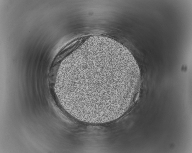 X0000111870242200909031822