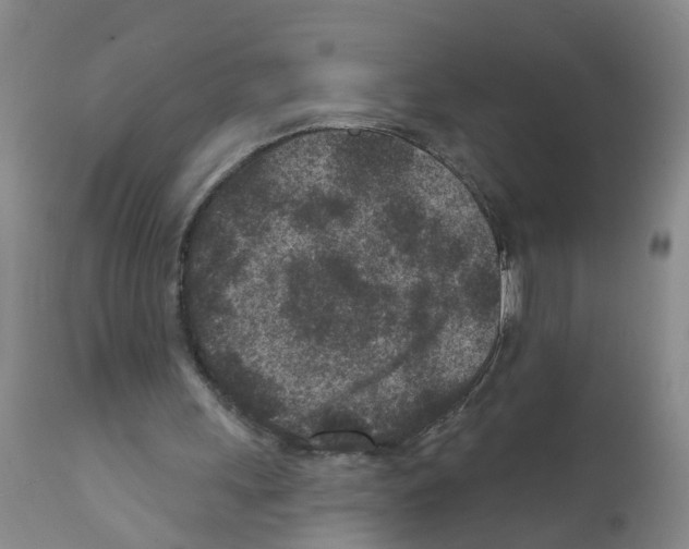 X0000111870243200909031822