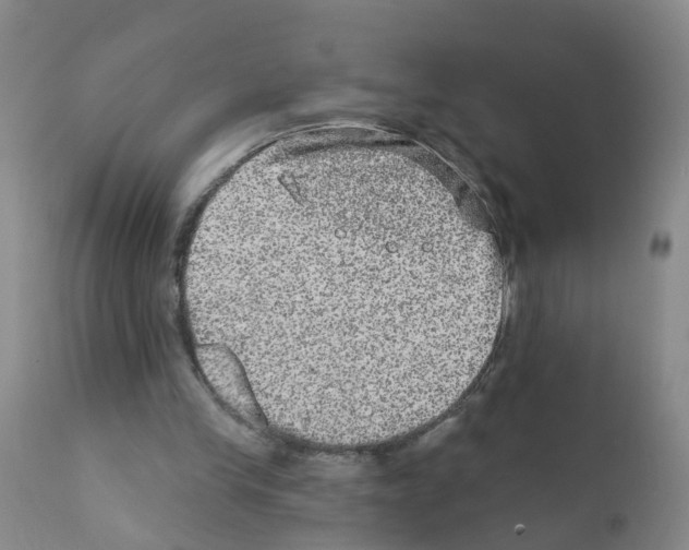 X0000111870245200909031822