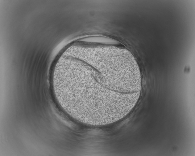 X0000111870246200909031822