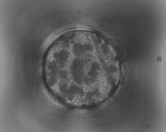 X0000111870247200909031822