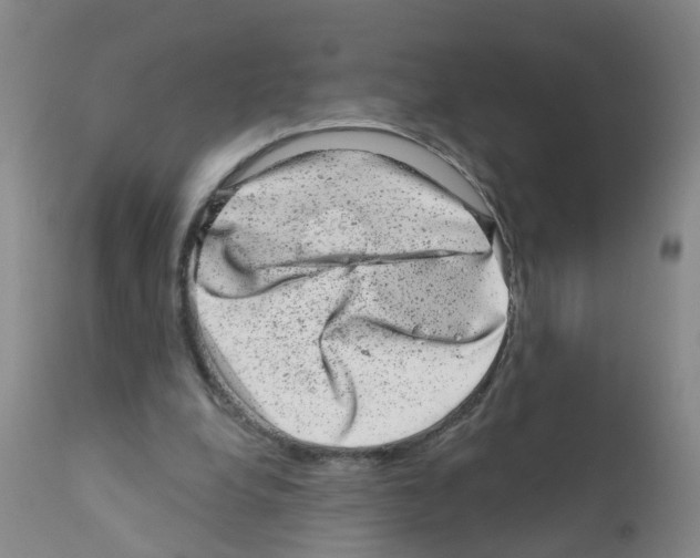 X0000111870248200909031822