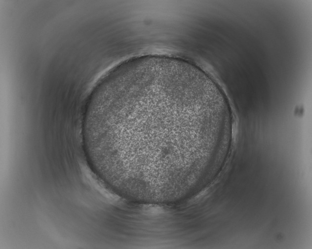 X0000111870249200909031822