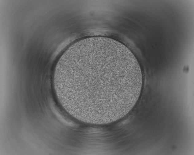 X0000111870250200909031822