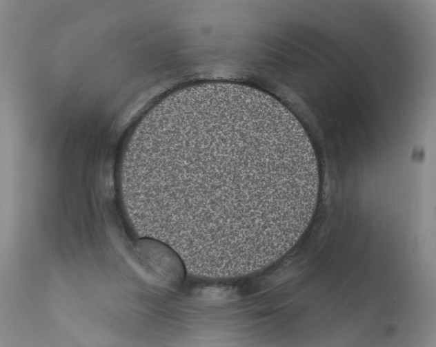 X0000111870251200909031822