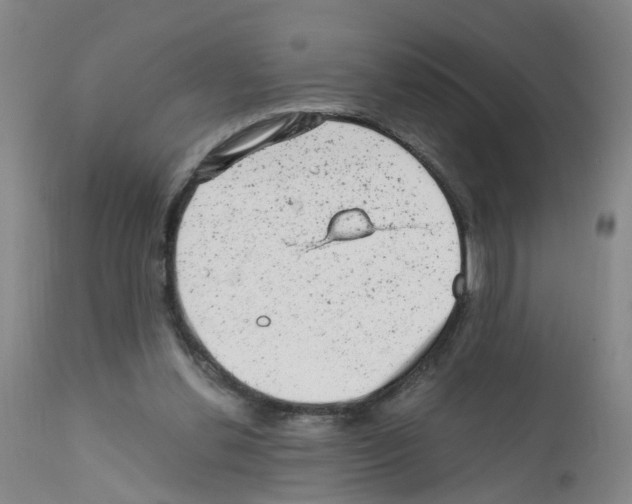 X0000111870252200909031822