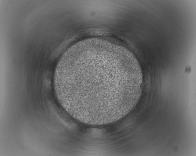 X0000111870255200909031822