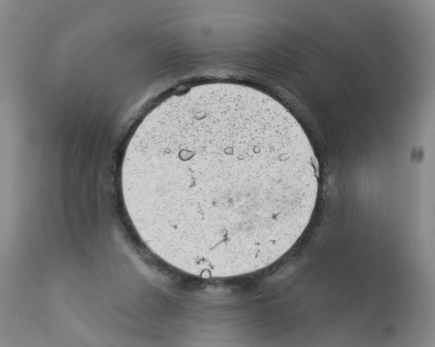 X0000111870256200909031822