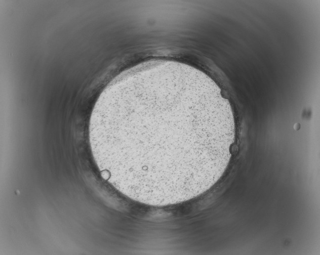 X0000111870257200909031822