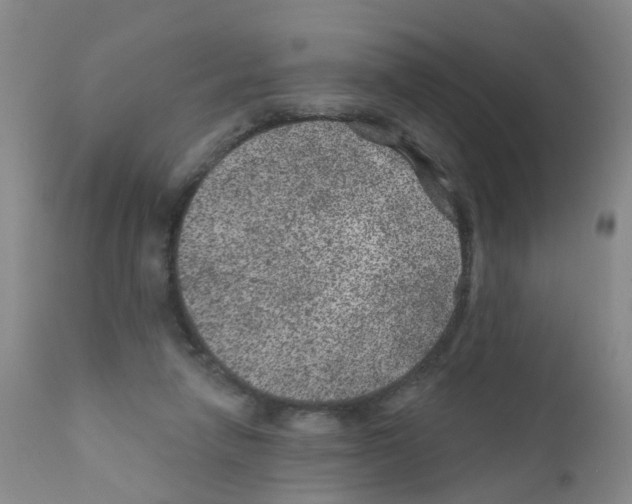 X0000111870258200909031822