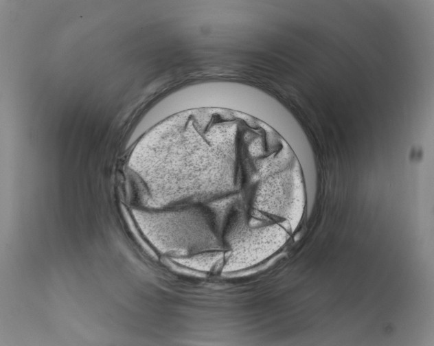 X0000111870260200909031822