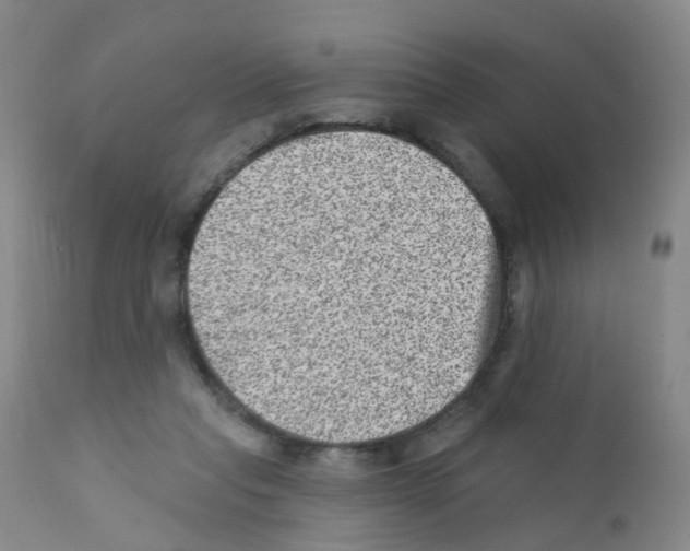 X0000111870261200909031822