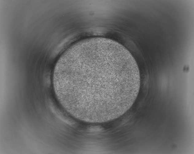 X0000111870262200909031822