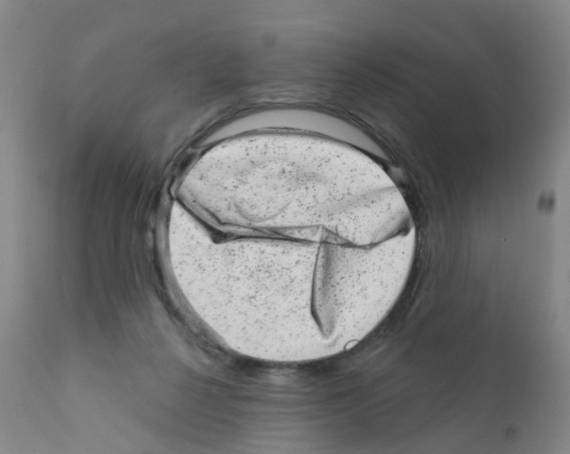 X0000111870264200909031822