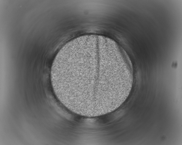 X0000111870265200909031822