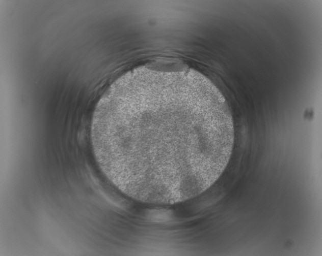 X0000111870266200909031822