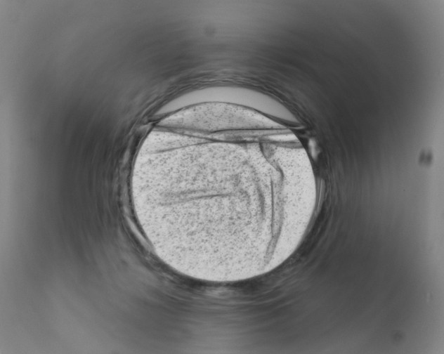 X0000111870268200909031822