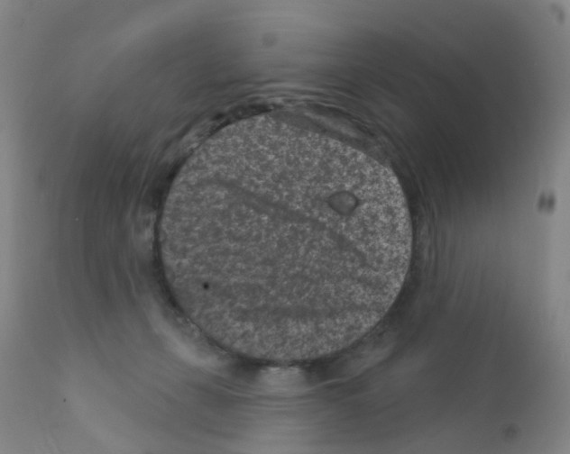 X0000111870271200909031823