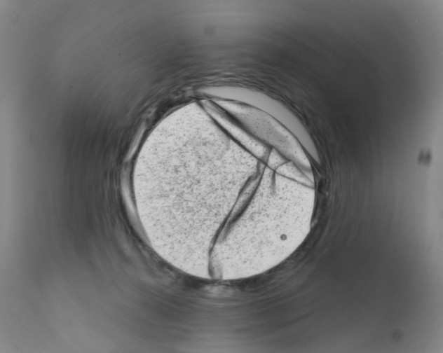 X0000111870272200909031823