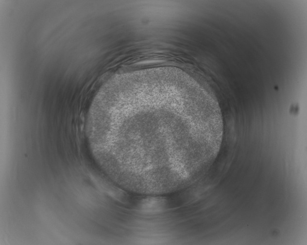 X0000111870274200909031823