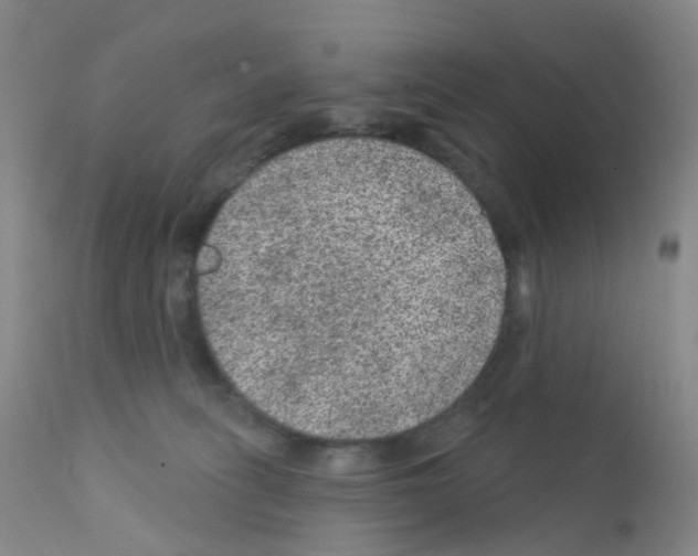 X0000111870275200909031823