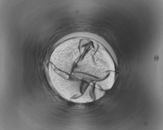 X0000111870276200909031823