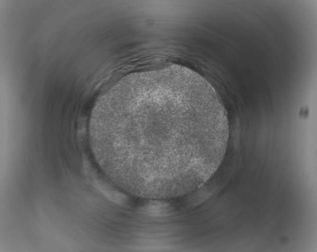 X0000111870278200909031823