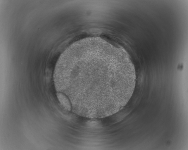 X0000111870283200909031823