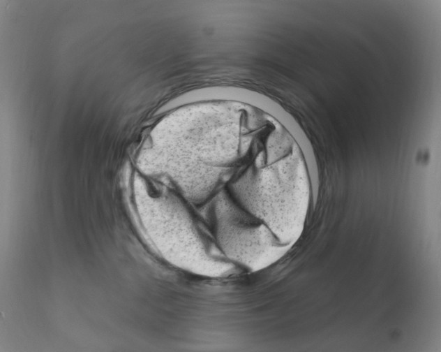 X0000111870284200909031823