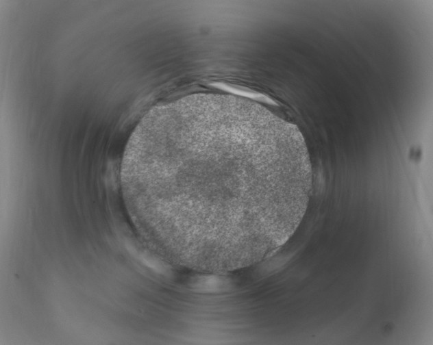 X0000111870286200909031823