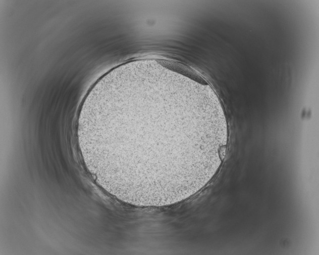 X0000111870289200909031822