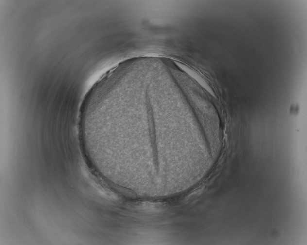 X0000111870292200909031822